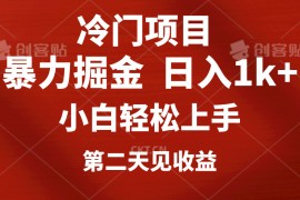 （10942期）冷门项目，靠一款软件定制头像引流 日入1000 小白轻松上手，第二天见收益