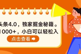 （10523期）今日头条4.0，掘金秘籍。日赚1000 ，小白可以轻松入手