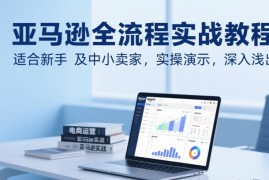 亚马逊全流程实战教程，适合新手及中小卖家，实操演示，深入浅出