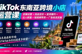 TikTok东南亚跨境小店运营课：店铺设置 选品定价 发货履约 达人联盟 短视频带货 广告投流实操