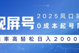 （14157期）2025风口项目，视频号带货，起号简单，爆率高轻松日入2000 