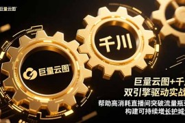 巨量云图 千川双引擎驱动实战：帮助高消耗直播间突破流量瓶颈，构建可…