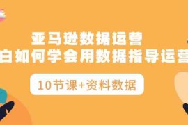 （10158期）亚马逊数据运营，小白如何学会用数据指导运营（10节课 资料数据）