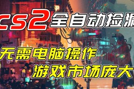 开年王炸CSGO挂机项目，单日捡漏1000 ，无需电脑操作，无需进入游戏，支持任何验证
