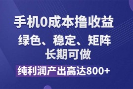 （11976期）纯利润高达800 ，手机0成本撸羊毛，项目纯绿色，可稳定长期操作！