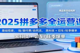 2025拼多多全运营课：基础搭建，强/弱付费/自然流，黑科技   切车/旺季爆单