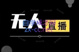 宝子哥·无人直播-非实时防风技术(更新4月)