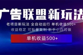 （13965期）2025全新广告联盟玩法 单机500 课程实操分享 小白可无脑操作