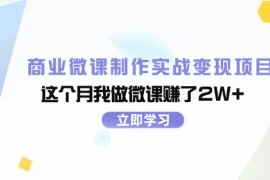 （11959期）商业微课制作实战变现项目，这个月我做微课赚了2W 