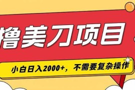 撸美刀，单日收入2000 ，小白可做