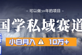 国学掘金计划，长期赛道爆炸裂变引流，小白月入3w 