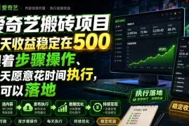 爱奇艺搬砖项目，每天收益稳定在500，跟着步骤操作、每天愿意花时间执行，就可以落地(更新)