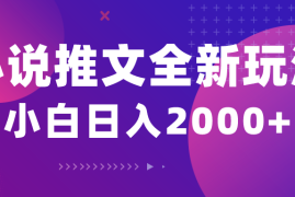 （10432期）小说推文全新玩法，5分钟一条原创视频，结合中视频bilibili赚多份收益