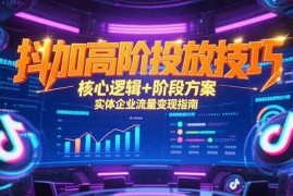 （15240期）抖加高阶投放技巧，核心逻辑 阶段方案，实体企业流量变现指南