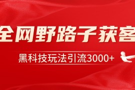 电商引流获客野路子全平台暴力截流获客日引500 