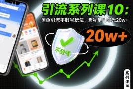 引流系列课10：闲鱼引流不封号玩法，单号单日曝光20w 