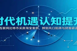 时代机遇认知提升：复盘互联网比特币买房淘宝案例，辨别风口陷阱与财报研读思路
