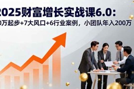 （16004期）2025财富增长实战课6.0：10万起步 7大风口 6行业案例，小团队年入200万