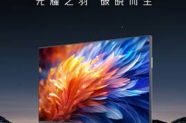 雷鸟手机怎么样(雷鸟手机是什么牌子旗下的)