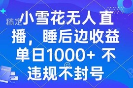 （13491期）小雪花无人直播 睡后收益单日1000  零粉丝新号开播 不违规 看完就会