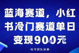 小红书冷门蓝海赛道，0成本，单日变现多张