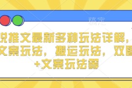 小说推文最新多种玩法详解，实况文案玩法，搬运玩法，双图片 文案玩法等