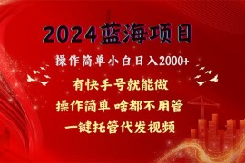 （10693期）2024蓝海项目，网盘拉新，操作简单小白日入2000 ，一键托管代发视频，…