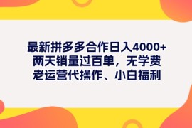 （11410期）最新拼多多项目日入4000 两天销量过百单，无学费、老运营代操作、小白福利