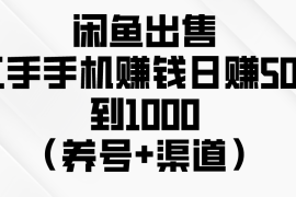 （10269期）闲鱼出售二手手机赚钱，日赚500到1000（养号 渠道）