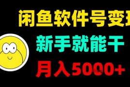闲鱼软件号变现，新手就能干，月入5k 