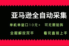 （15704期）亚马逊全自动采集，单机单窗口一天10 ，可无限矩阵去做