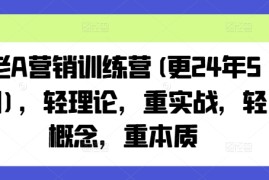老A营销训练营(更25年10月)，轻理论，重实战，轻概念，重本质