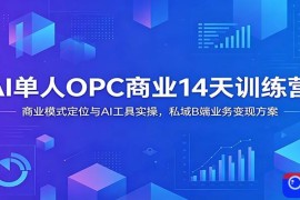 AI单人OPC商业14天训练营：商业模式定位与AI工具实操，私域B端业务变现方案