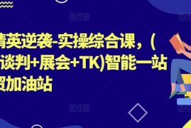 外贸精英逆袭-实操综合课，(拓客 谈判 展会 TK)智能一站式外贸加油站