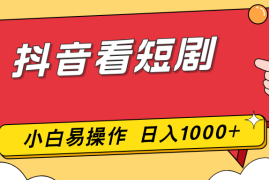 抖音看短剧，一部手机，零投入，小白轻松上手，简单易操作，一天1000 
