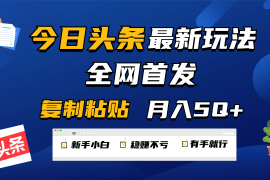 今日头条最新玩法全网首发，无脑复制粘贴 每天2小时月入5000 ，非常适合新手小白
