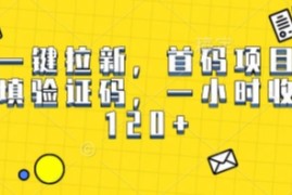 一键拉新，首码项目，回填验证码，一小时收益1张