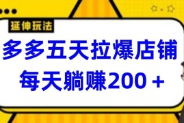多多五天拉爆店铺，每天躺赚200 【揭秘】