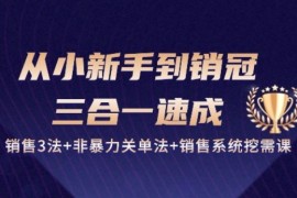 从小新手到销冠 三合一速成：销售3法 非暴力关单法 销售系统挖需课 (27节)