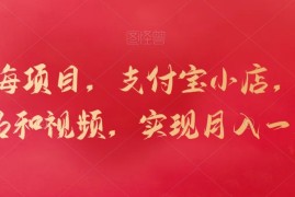 新蓝海项目，支付宝小店，搬运商品和视频，实现月入一万 