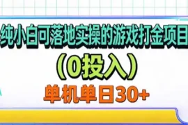 纯小白可落地实操的游戏打金项目(0投入