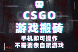 CSGO游戏挂机捡漏，单日扫货500 ，年底小高峰上车可吃肉，手机即可操作兼职副业