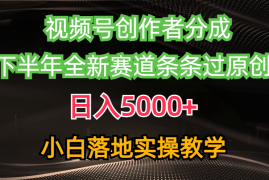 （10294期）视频号创作者分成最新玩法，日入5000  下半年全新赛道条条过原创，小…
