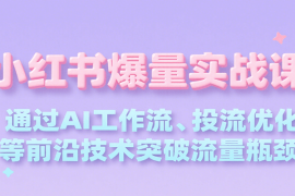小红书爆量实战课，通过AI工作流、投流优化等前沿技术突破流量瓶颈