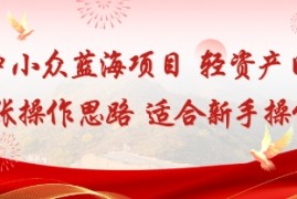 低竞争小众蓝海项目，轻资产日变现4张的操作思路适合新手操作