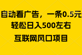 （10306期）广告收益风口，轻松日入500 ，新手小白秒上手，互联网风口项目