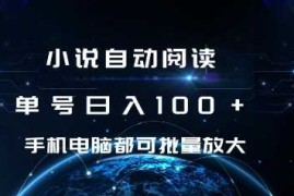 小说自动阅读 单号日入100  手机电脑都可 批量放大操作【揭秘】