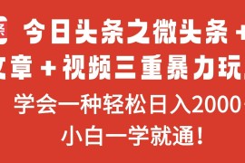 （16556期）今日头条之微头条＋文章＋视频三重暴力玩法，学会一种轻松日入2000＋，…