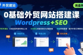 WordPress外贸建站 SEO优化课程，手把手教你从0到1搭建可获得询盘的外贸网站