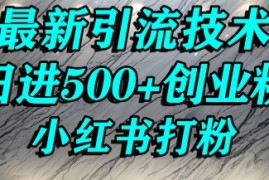 小红书精准引流创业粉，前辈求带孩子走投无路了，单人操作日引500 精准创业粉